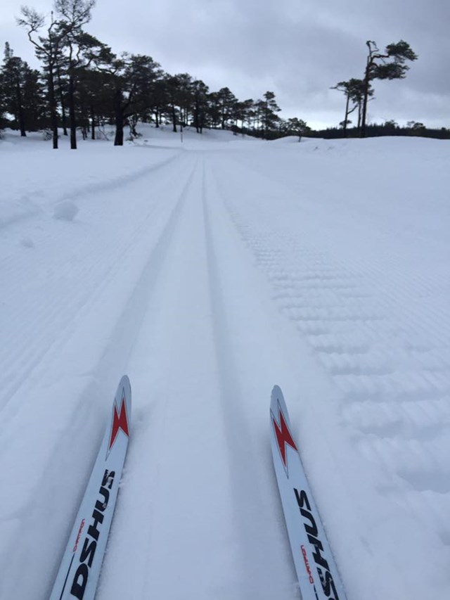 Skiteknikkurs lørdag 14. januar