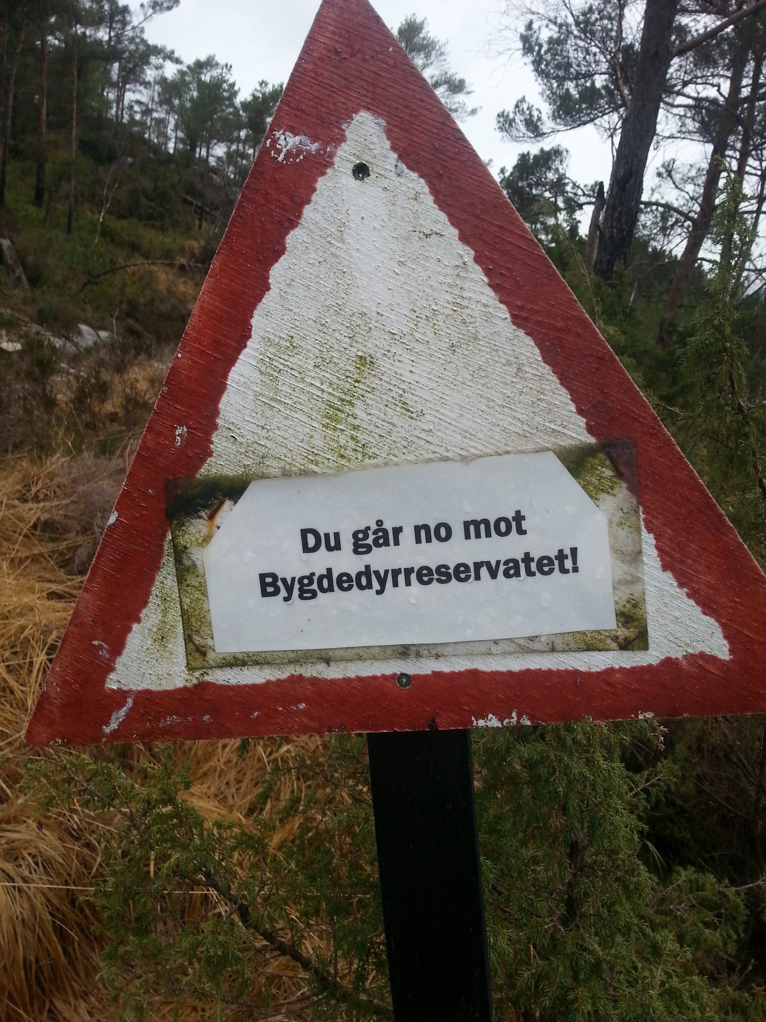 Tenke før man snakker?!