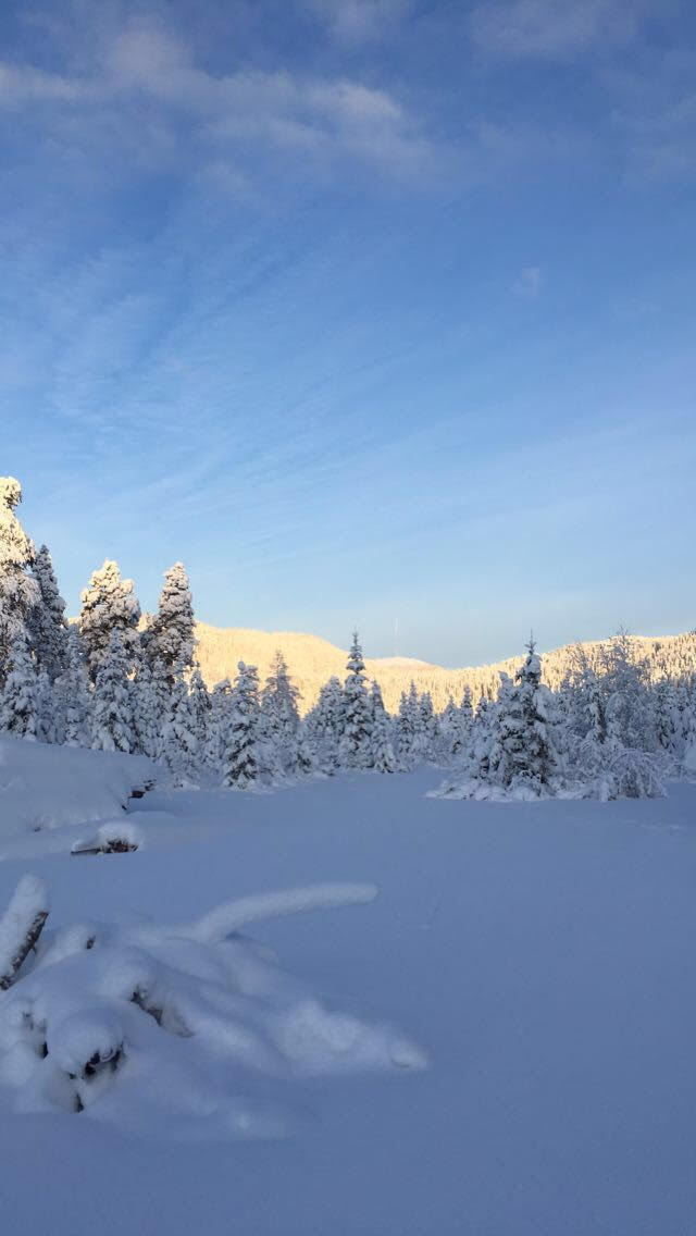 Månedens trimmer i november...