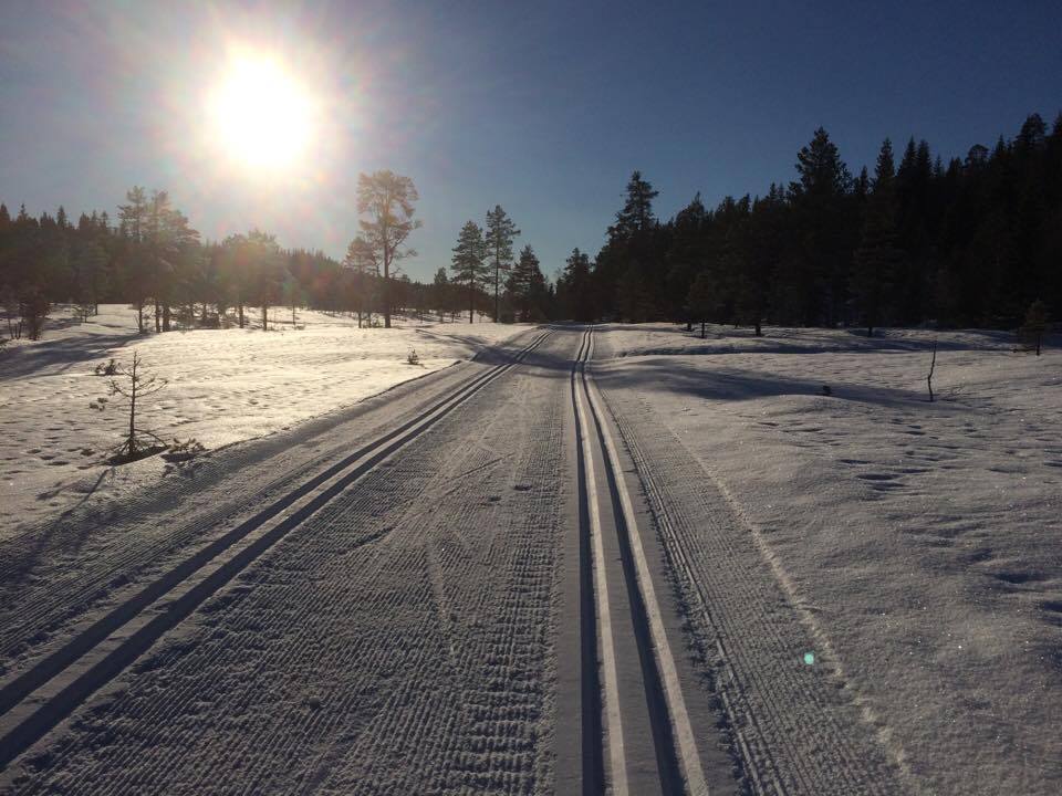 Påskestemning på Langmyra