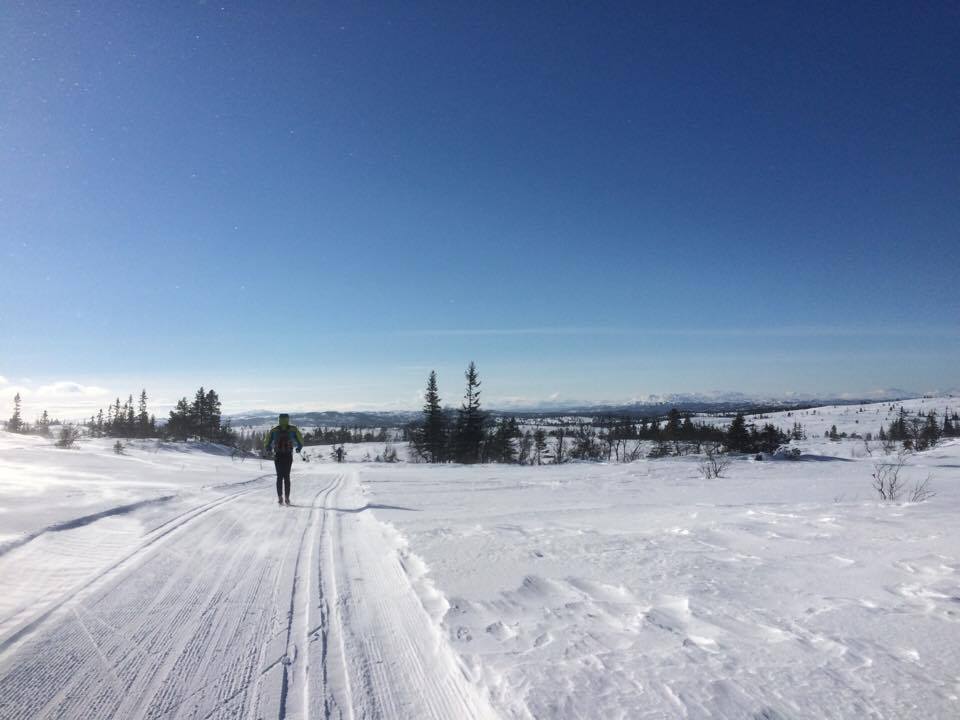 Seterrennet i sol og storm