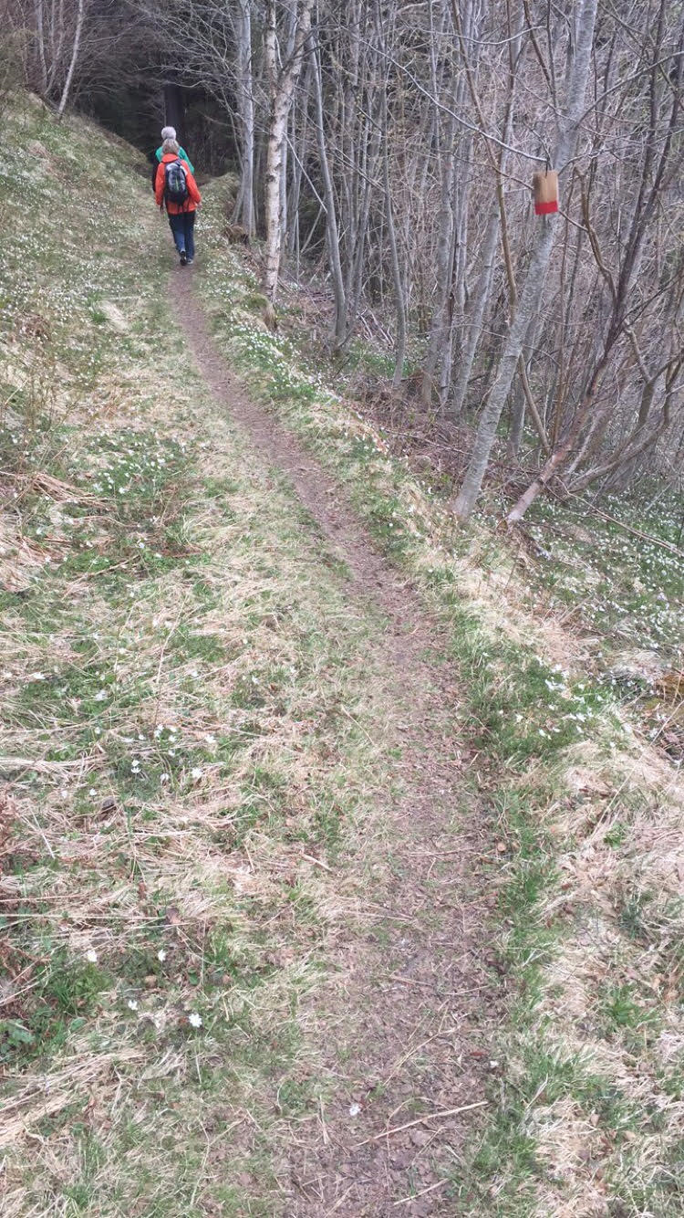 Terrengløp/terrengtrimtur