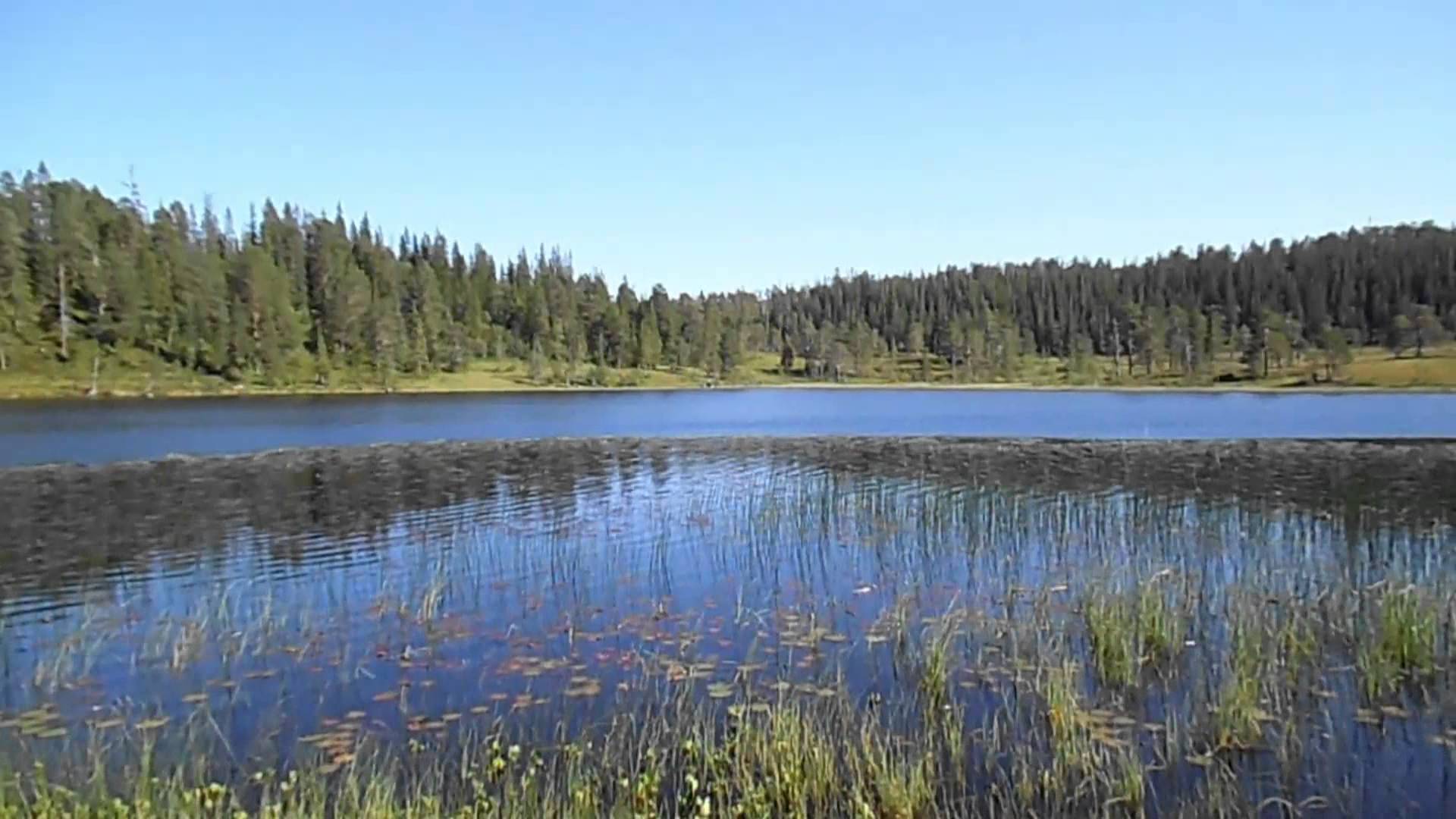 Sankthansfeiring ved ulvehiet 23/6.