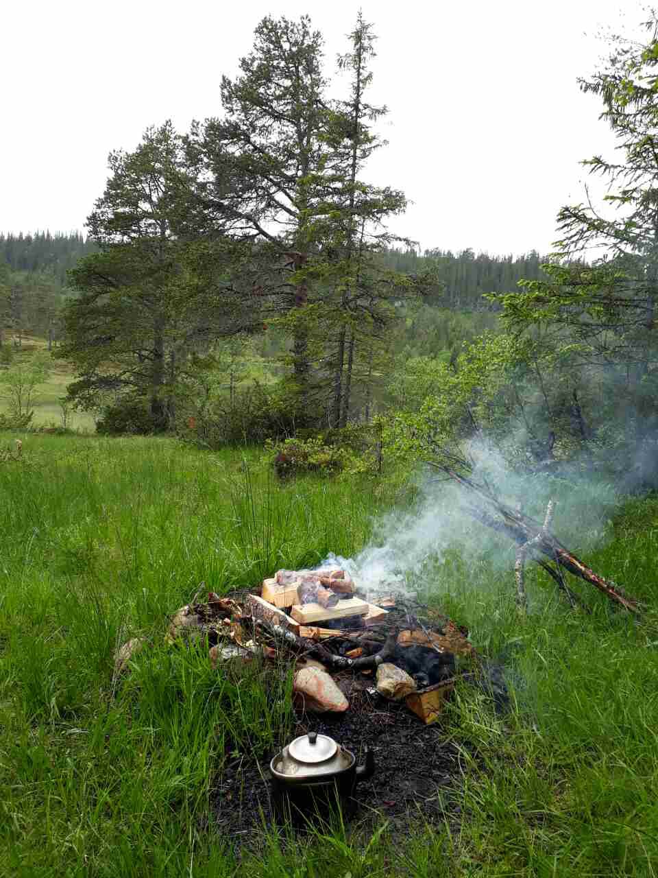 St.Hans feiring ved ulvehiet.
