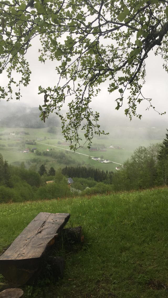 Månedens trimmer i mai..
