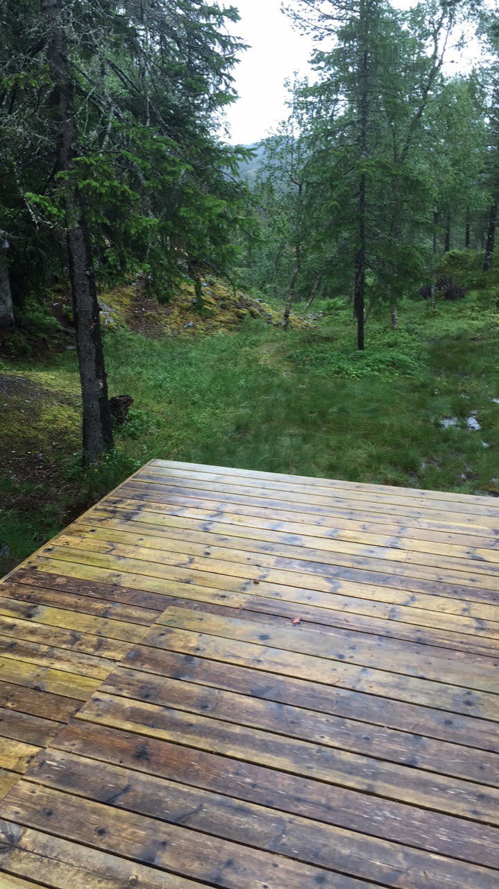 Månedens trimmer i august er trukket....