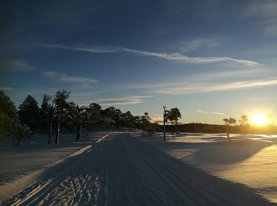Ledige stillinger i Flå IL ski