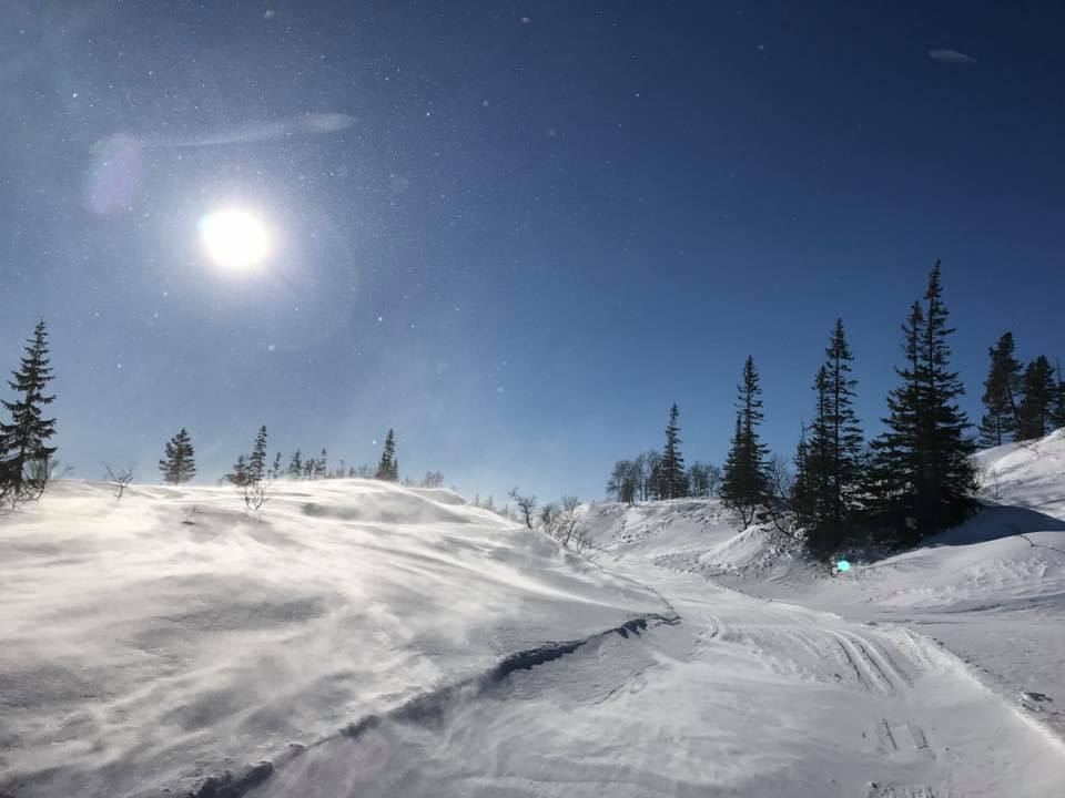 Seterrennet 2018