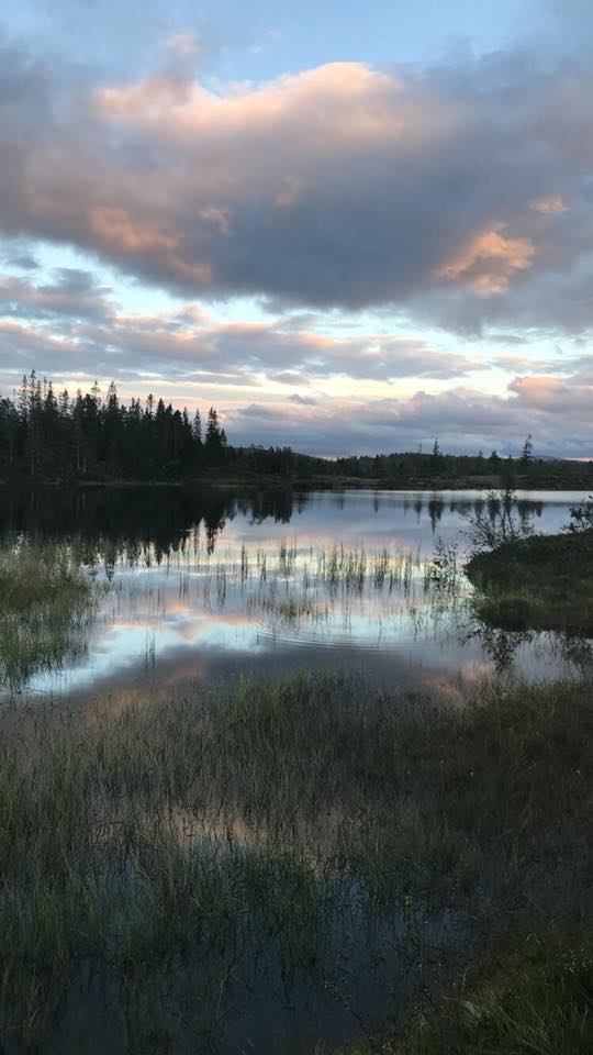 Måneden trimmer i juli og mådens trimpost i August.