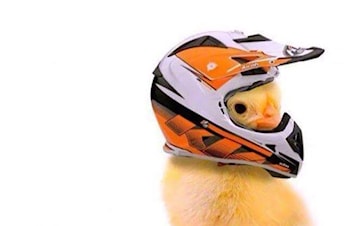 Kjøring i Palmehelgen