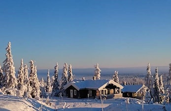 Budorrennet 7 januar 2017
