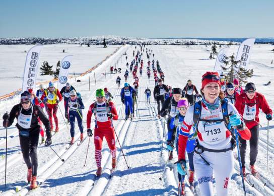 Birkebeinerbussen 2016