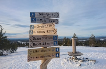 Budorrennet 7 januar 2017 Resultatliste