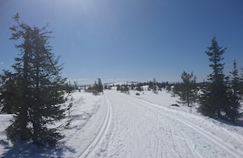 Budorrennet 6 januar 2018