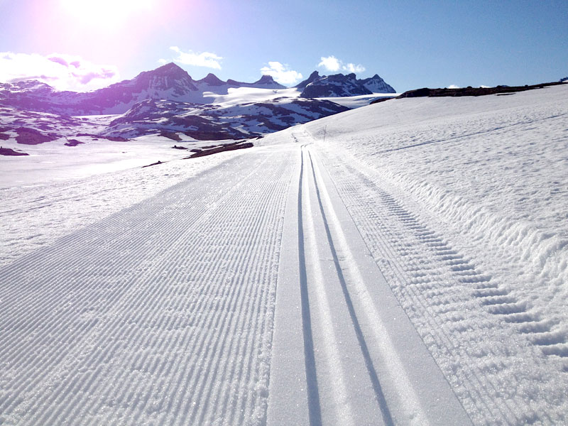 Camp Sognefjellet 2017