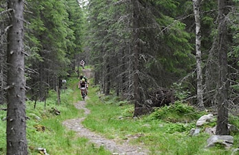 Hedmarksvidda rundt