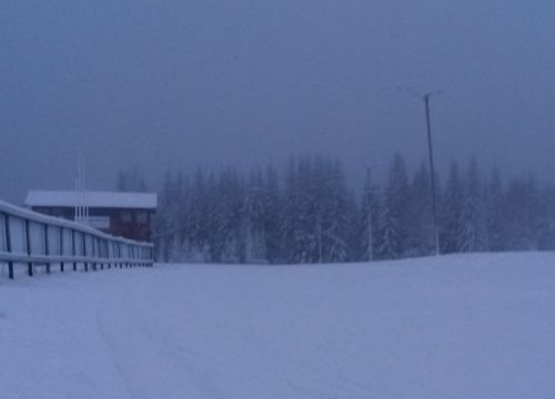 Sjusjøcup 1 og KM sprintstafett på Veldre sag 7. og 8. januar 2017