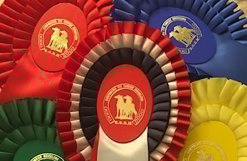 Resulater fra klubbmesterskapet i dressur 2016