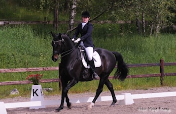 Invitasjon til klubbmesterskap i dressur 2016