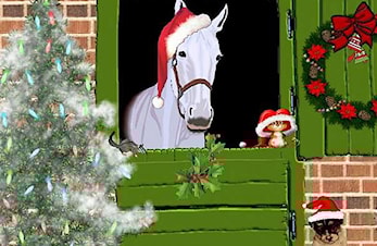 Bergen Rideklubb sitt tradisjonelle JULESHOW