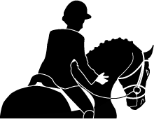 2 Bergensryttere deltok på Dressurstevne