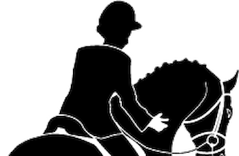 2 Bergensryttere deltok på Dressurstevne