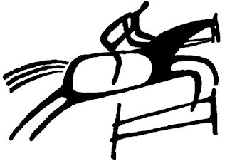 Landsmesterskap Ponni 2017