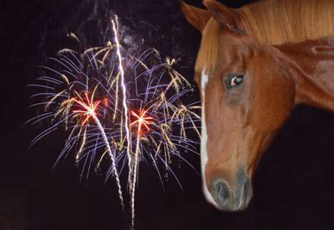 Kjære medlemmer av Bergen Rideklubb