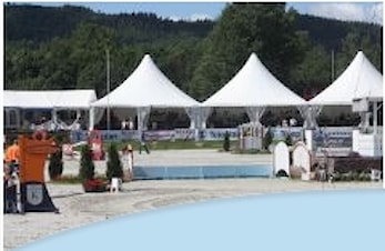 NM Lag og finaler i Norgesserien