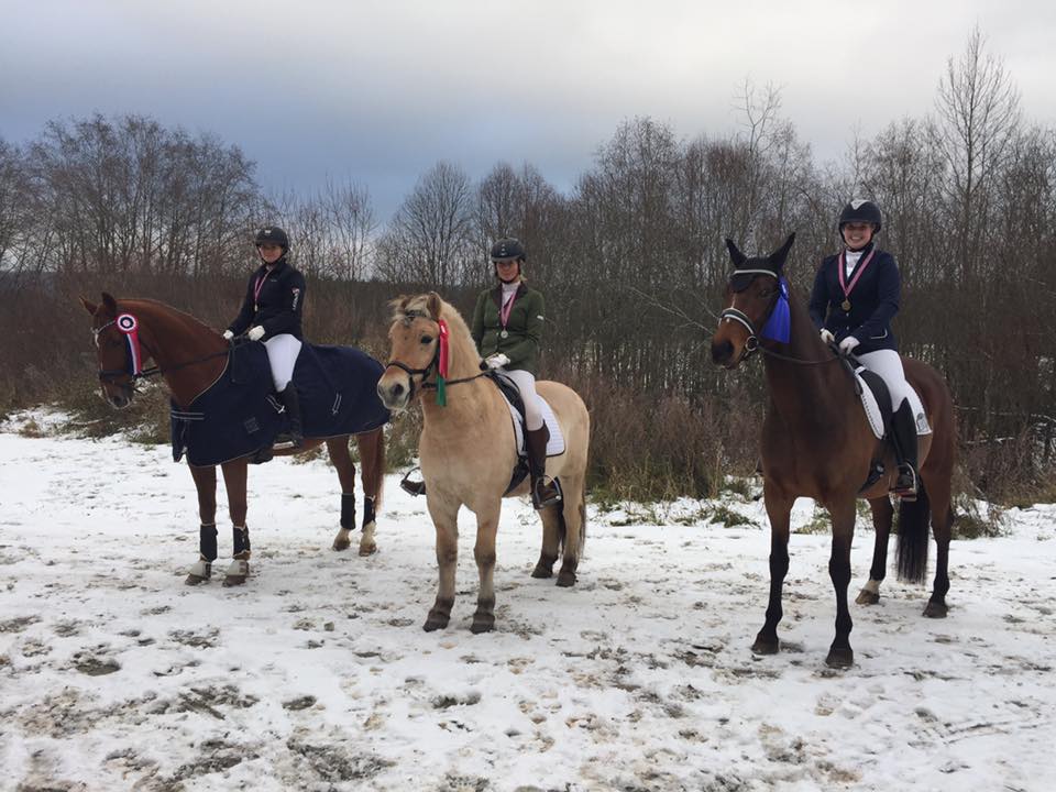 KLUBBMESTERE DRESSUR 2016