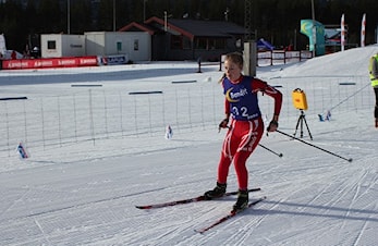 Krinsrenn i Hyttehola