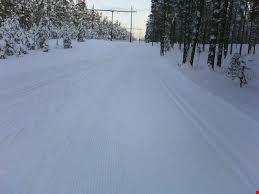 Treningsplan gr. 4 - januar