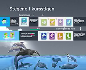 Høstens SVØMMEKURS for nybegynnere og viderekommende: VI ÅPNER FOR EKSTRA KURS PÅ ONSDAGER!
