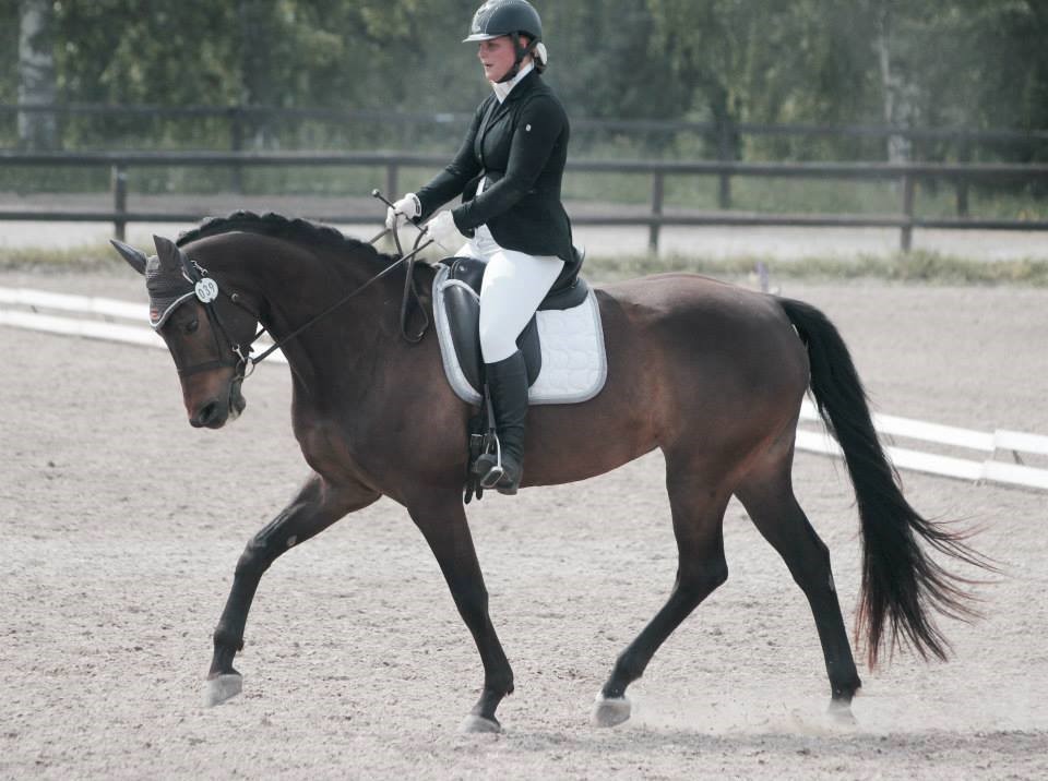 OARK cup dressur 2018