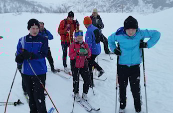Triveleg, men grått under Øverbergrondå.
