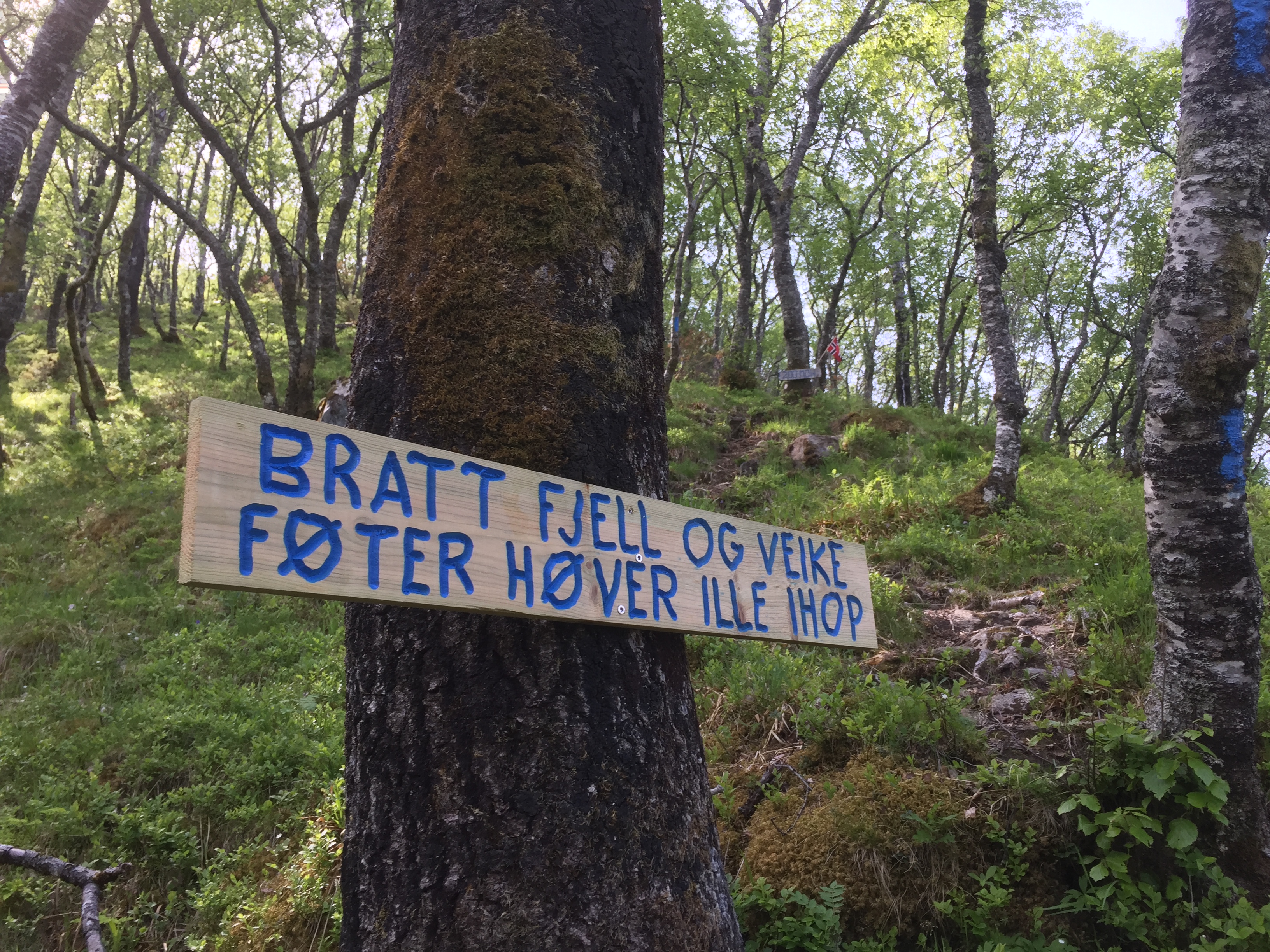 Påmelde Blåfelden 2018