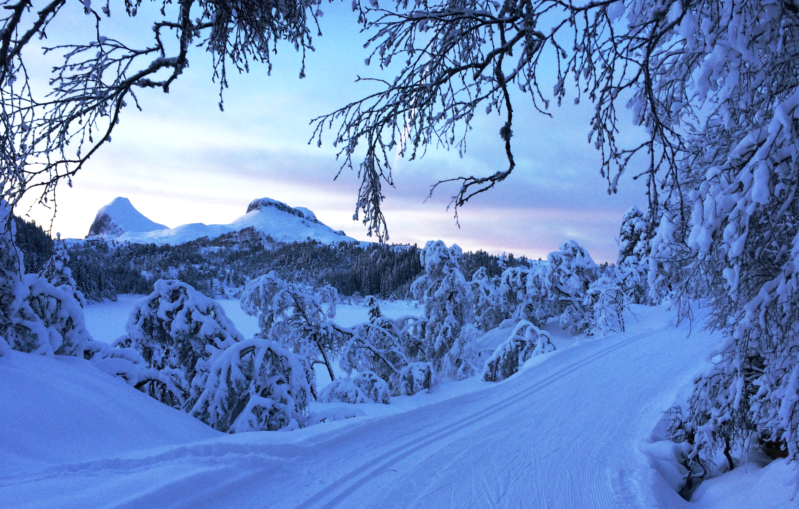 GOD JUL!