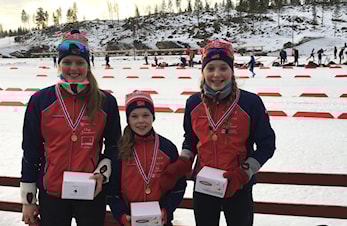 KM Gull til Fjellet IL