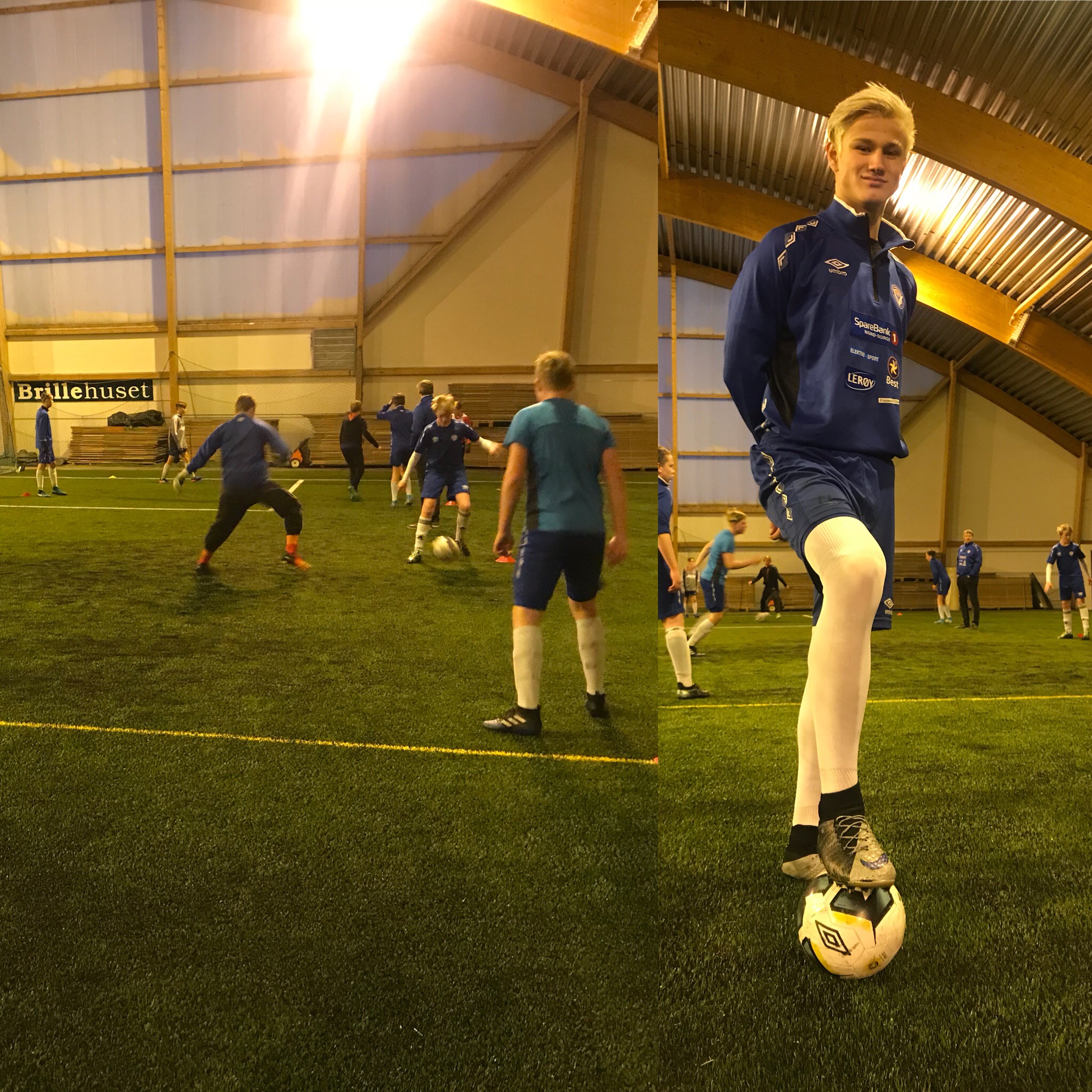 Grønt og fint i hallen