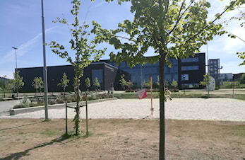 Trondheim Open (fredag 1 juni)