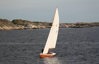 Årsmøte i RSF