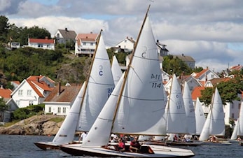 Årsmøte