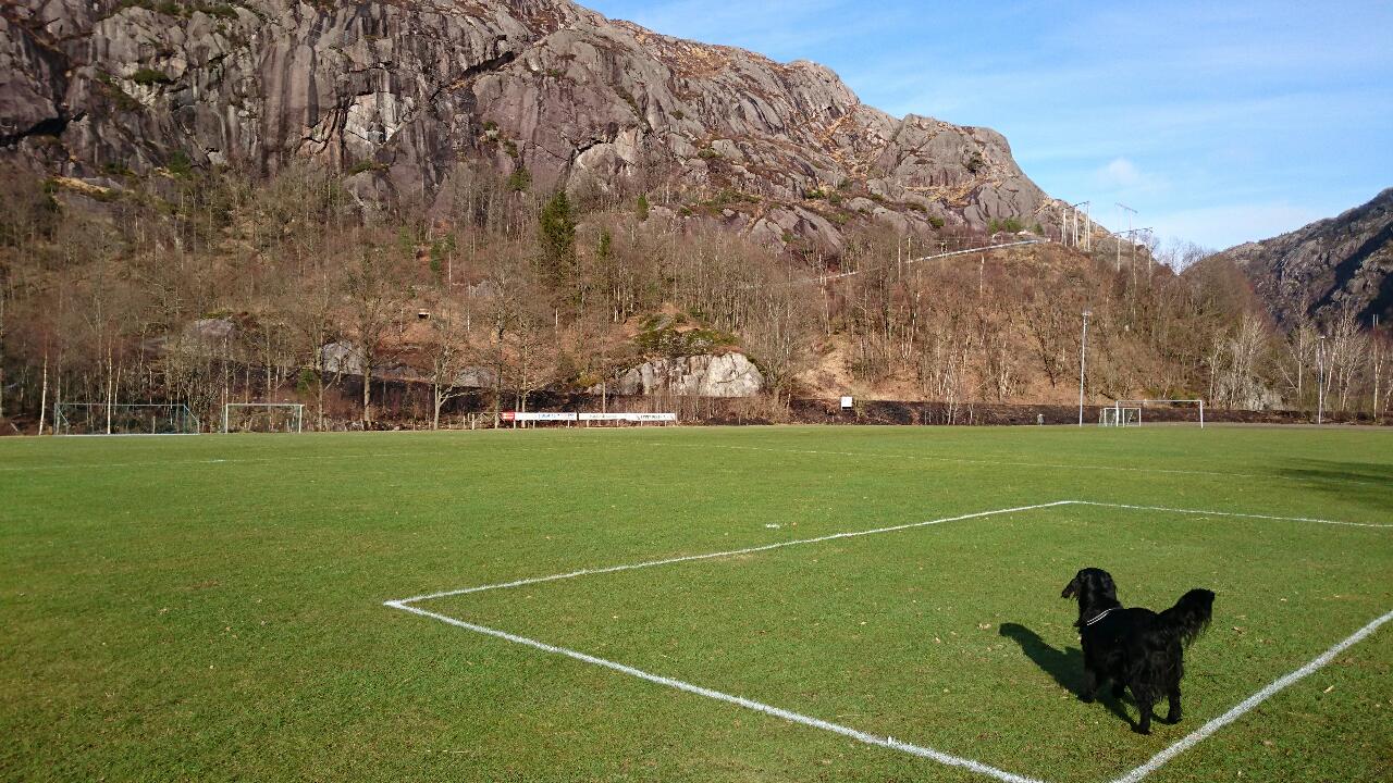 Fotball treningene i Åna Sira har startet på gress.