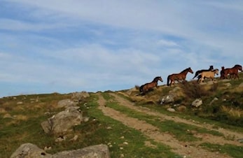Velkommen til rideweekend 22-23 oktober på Ålgård rideklubb!