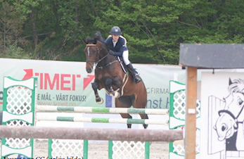 E-stevne Arendal og Grimstad Rideklubb, 27-30.oktober 2016
