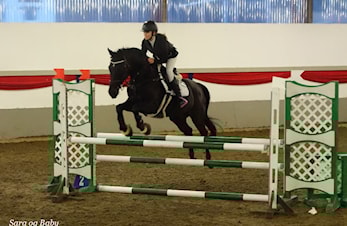 D-stevne Sandnes og Jæren Rideklubb 19 og 20 november 2016