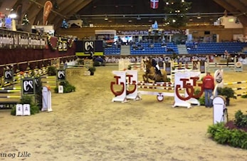 CSIch-CSIJ-CSIP- Baltic Cup Finalestævne 01.12.2016 - 04.12.2016
