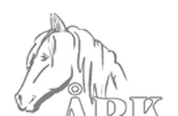 Årsmøte