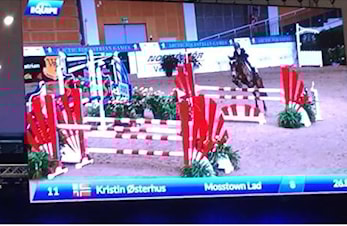 AEG - Arctic Equestrian Games - 25-28.februar 2016