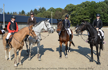 D-stevne Rogaland Rideklubb 24-25. September 2016
